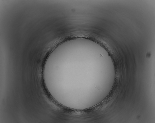 X0000094810402200711161009