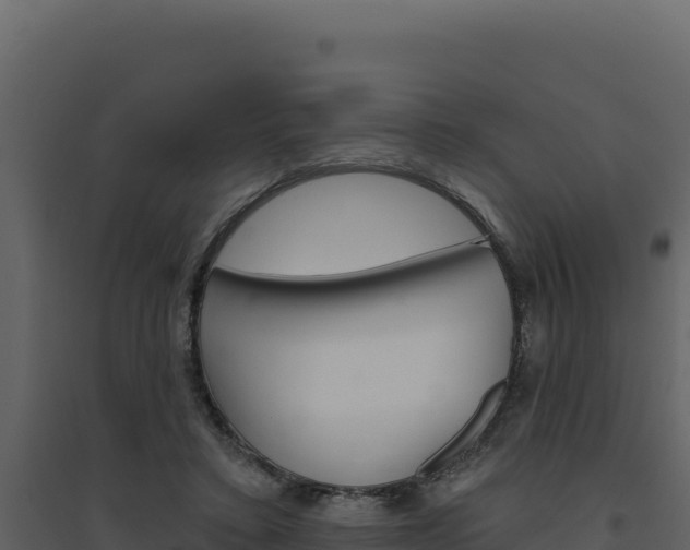 X0000094810403200711161009