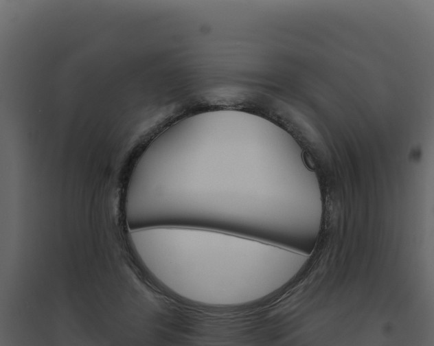 X0000094810404200711161009