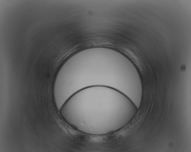 X0000094810405200711161009