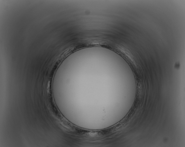X0000094810406200711161009