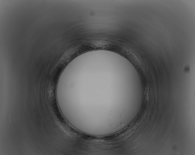 X0000094810408200711161009