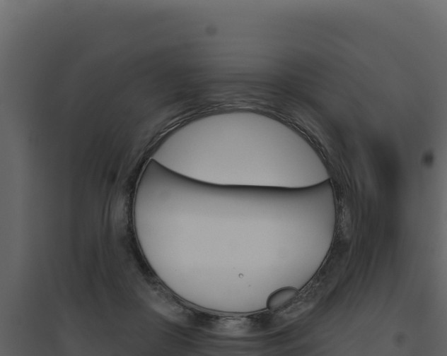 X0000094810410200711161009