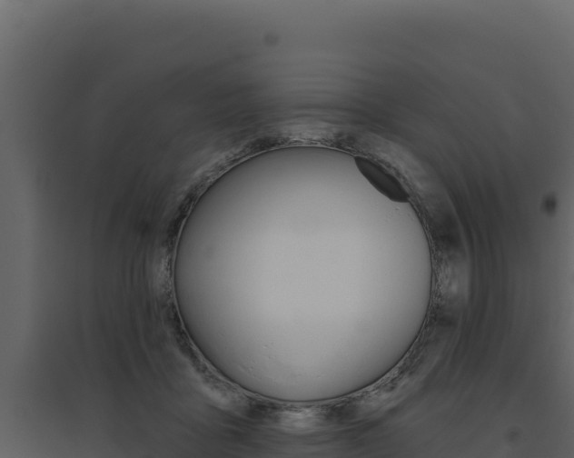 X0000094810411200711161009