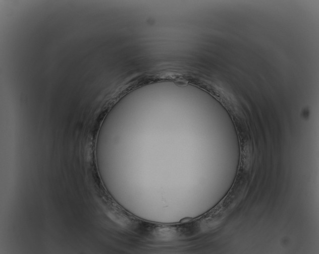 X0000094810413200711161008