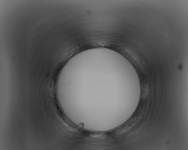 X0000094810414200711161008