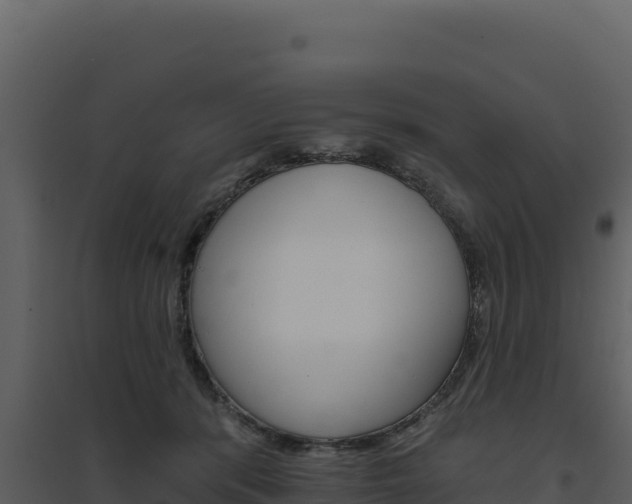 X0000094810416200711161008