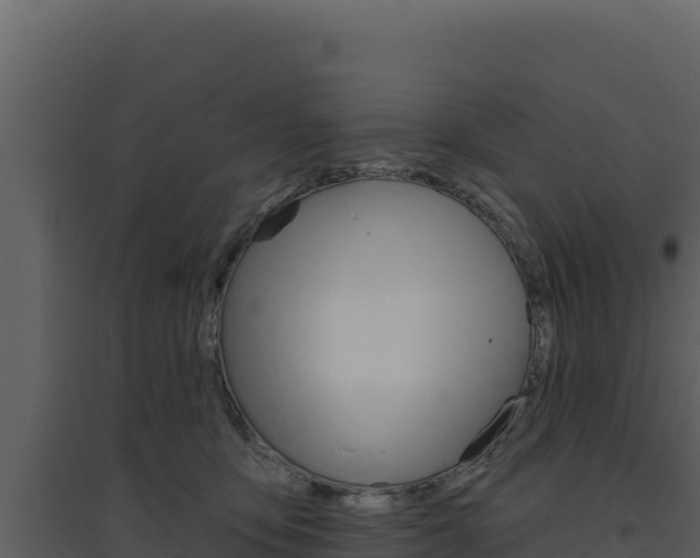 X0000094810419200711161008