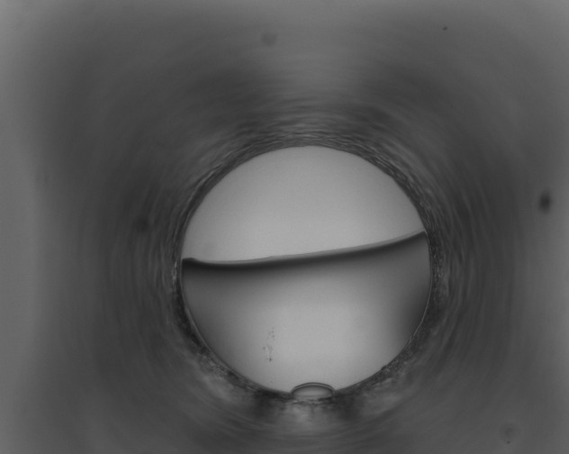 X0000094810420200711161008