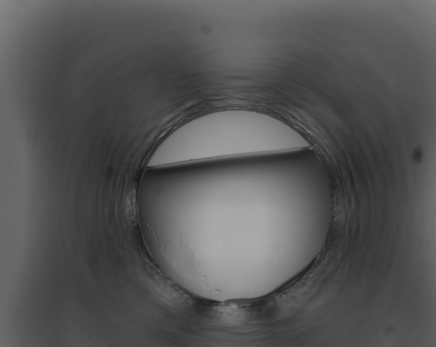 X0000094810425200711161008