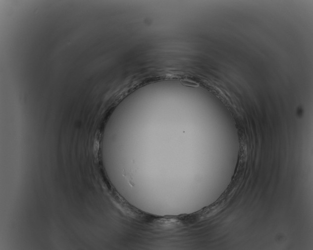 X0000094810427200711161008