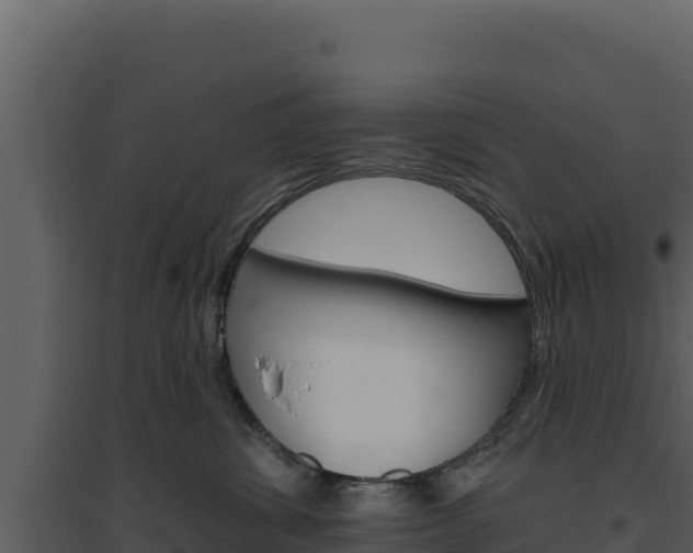 X0000094810428200711161008