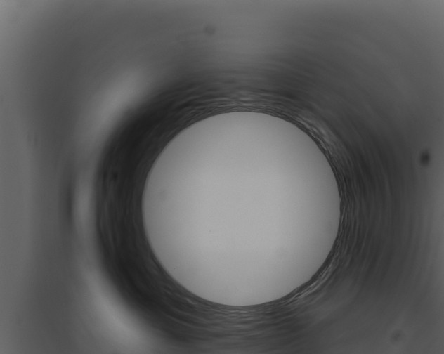 X0000094810429200711161008
