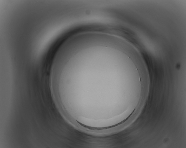 X0000094810431200711161008