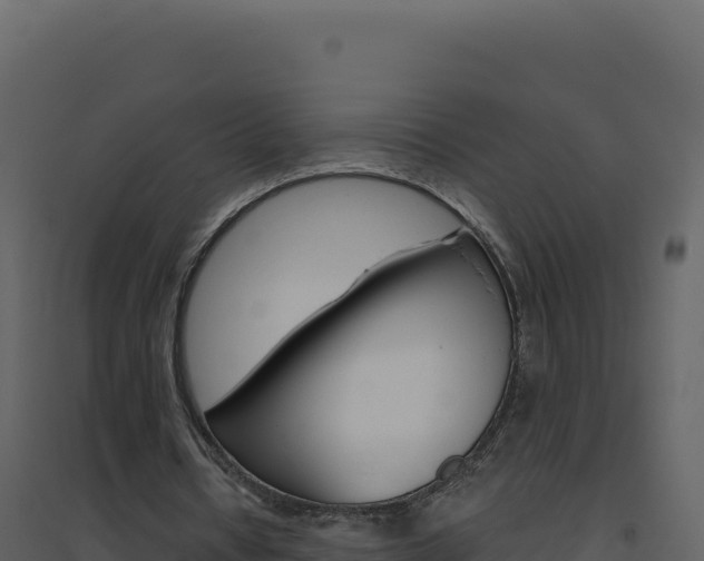 X0000094810434200711161008