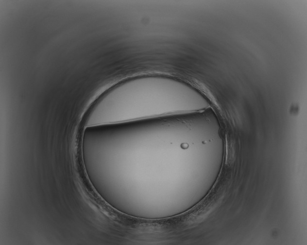 X0000094810435200711161008