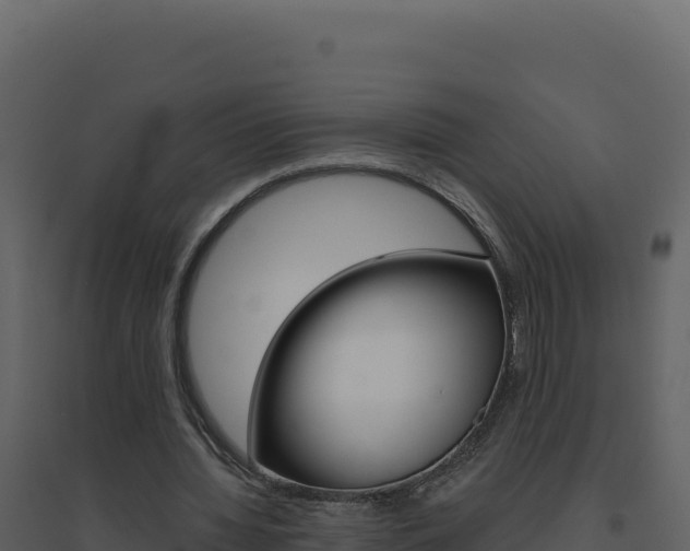 X0000094810436200711161008
