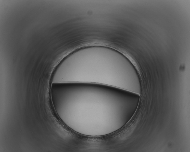 X0000094810437200711161008