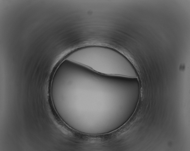 X0000094810438200711161008