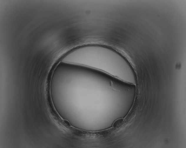 X0000094810439200711161008