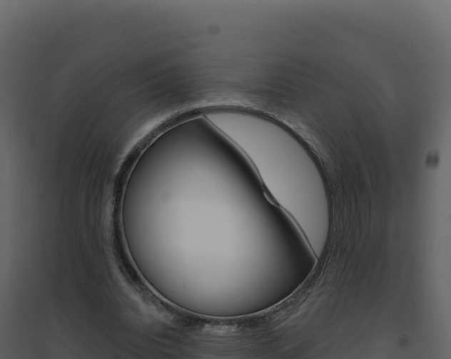 X0000094810440200711161008