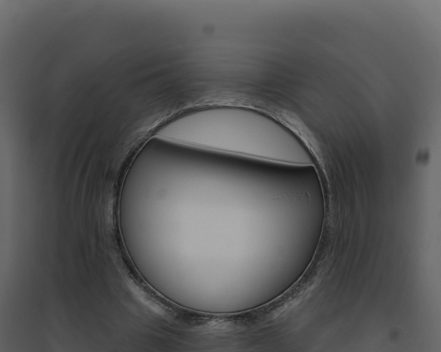 X0000094810441200711161008