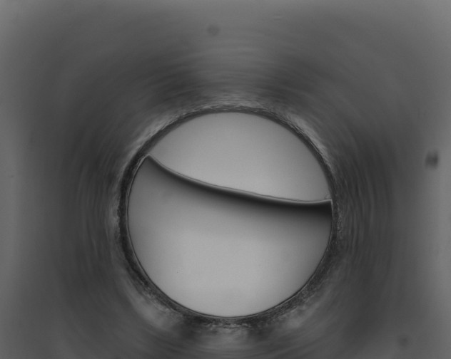 X0000094810443200711161008