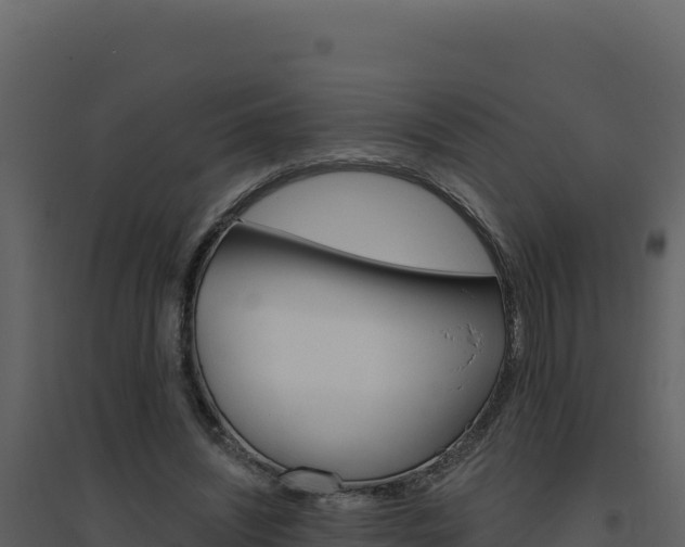 X0000094810444200711161008