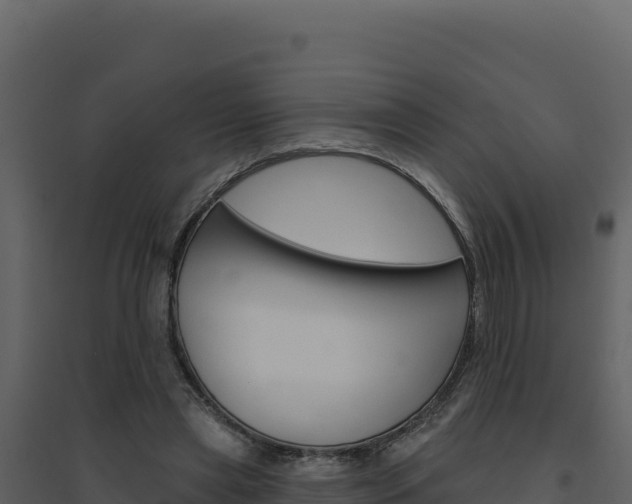 X0000094810445200711161008
