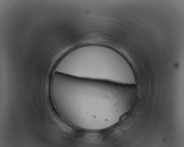 X0000094810446200711161008