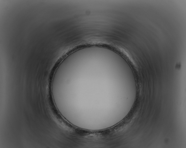 X0000094810447200711161008