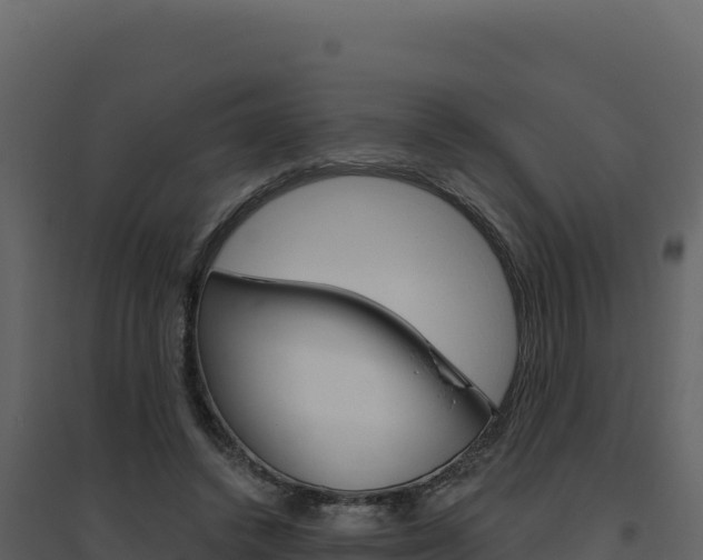 X0000094810448200711161008