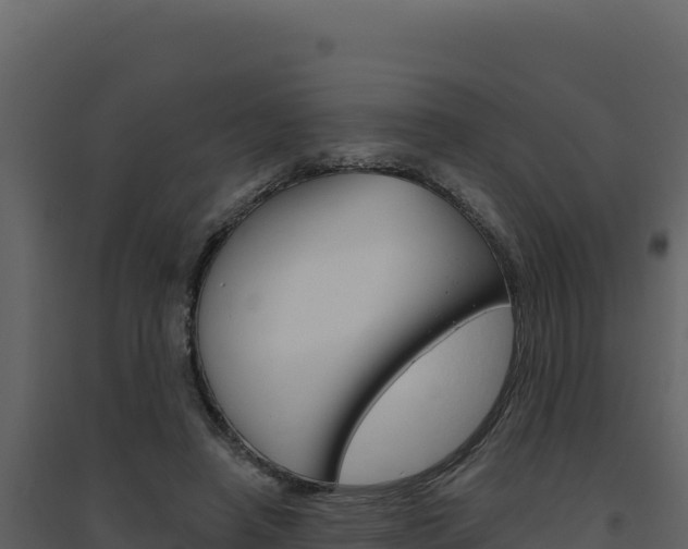 X0000094810450200711161008