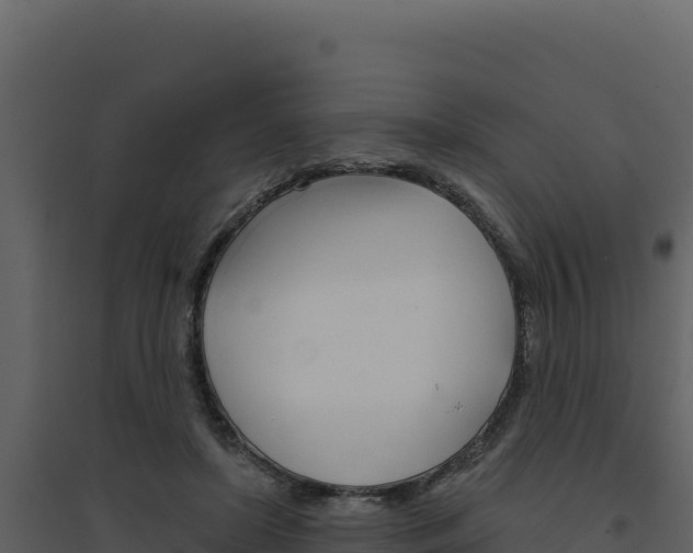 X0000094810451200711161008