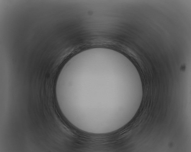 X0000094810452200711161008