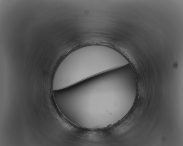 X0000094810453200711161008