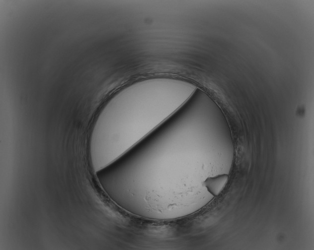 X0000094810454200711161008