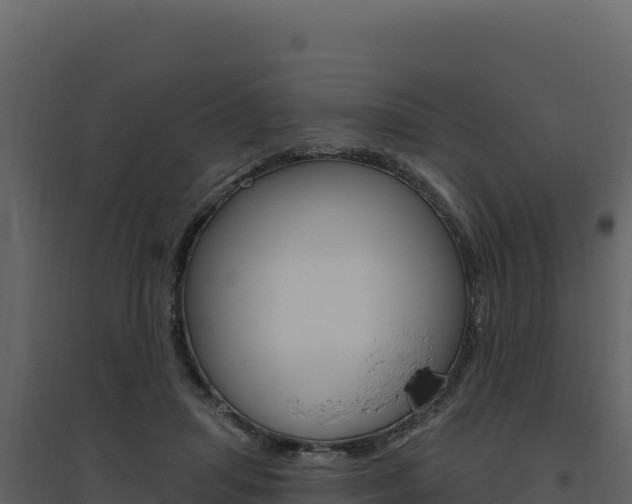 X0000094810455200711161008