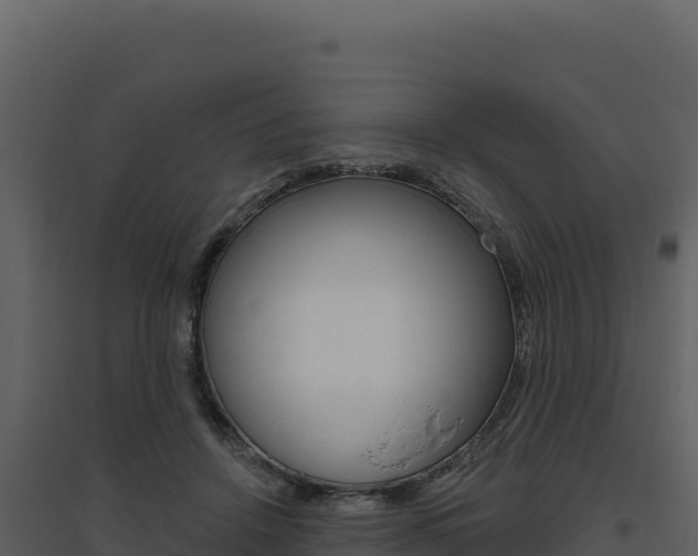 X0000094810456200711161008