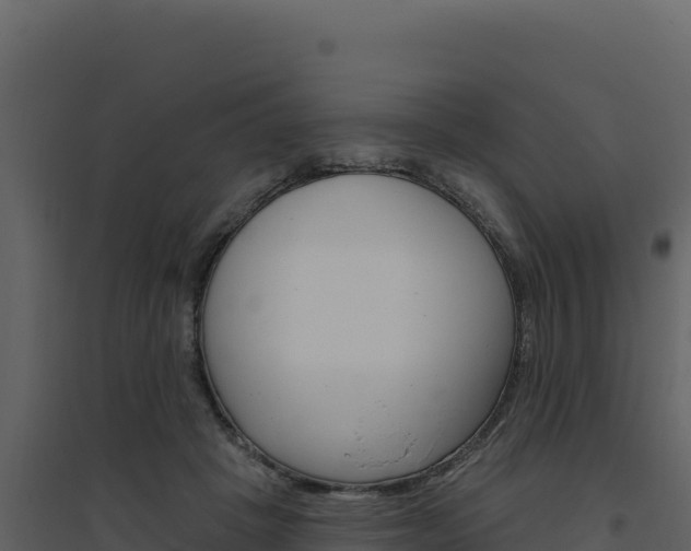 X0000094810457200711161008