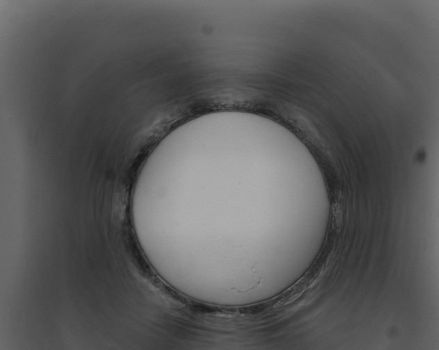 X0000094810458200711161008