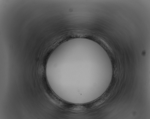 X0000094810459200711161008