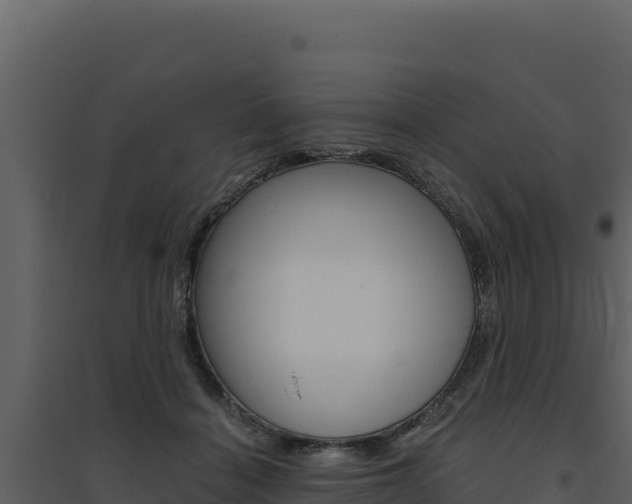 X0000094810460200711161008