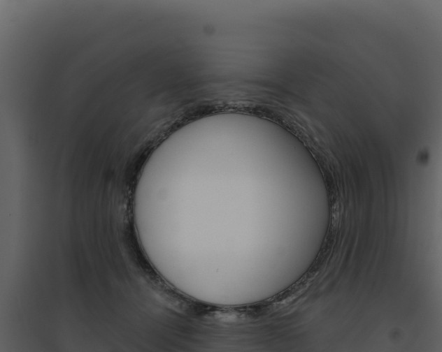X0000094810464200711161008