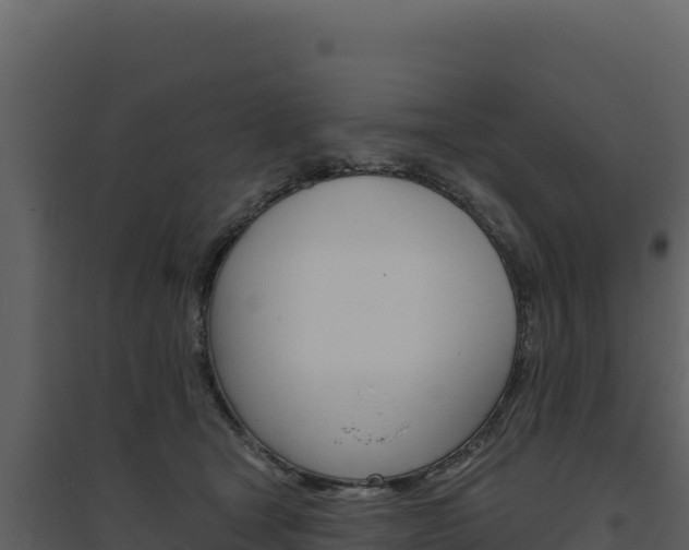 X0000094810465200711161008