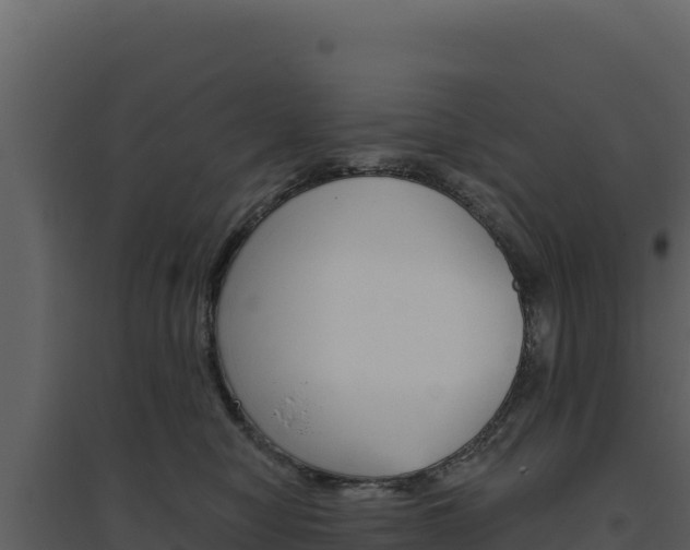X0000094810470200711161008