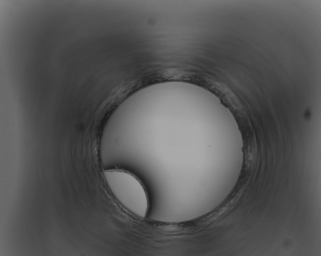 X0000094810473200711161008