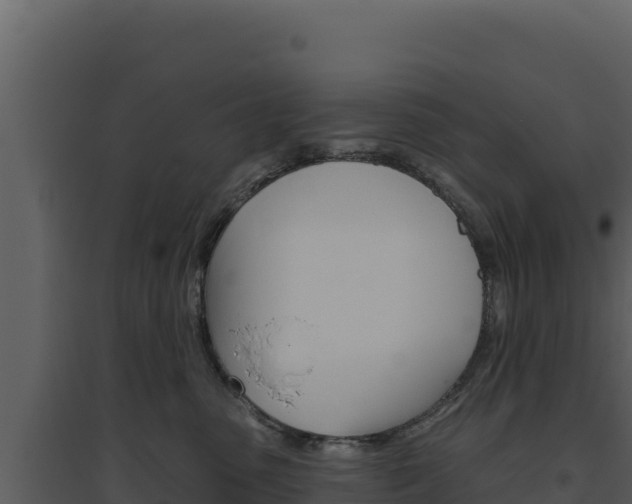 X0000094810475200711161008