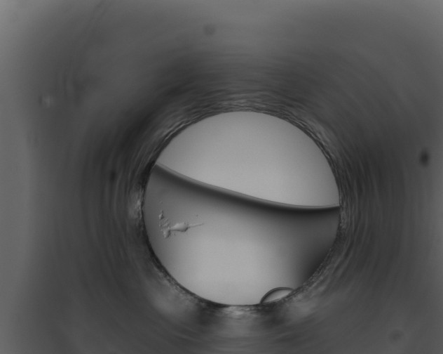 X0000094810477200711161008