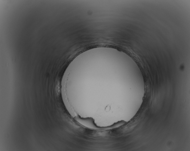 X0000094810479200711161008
